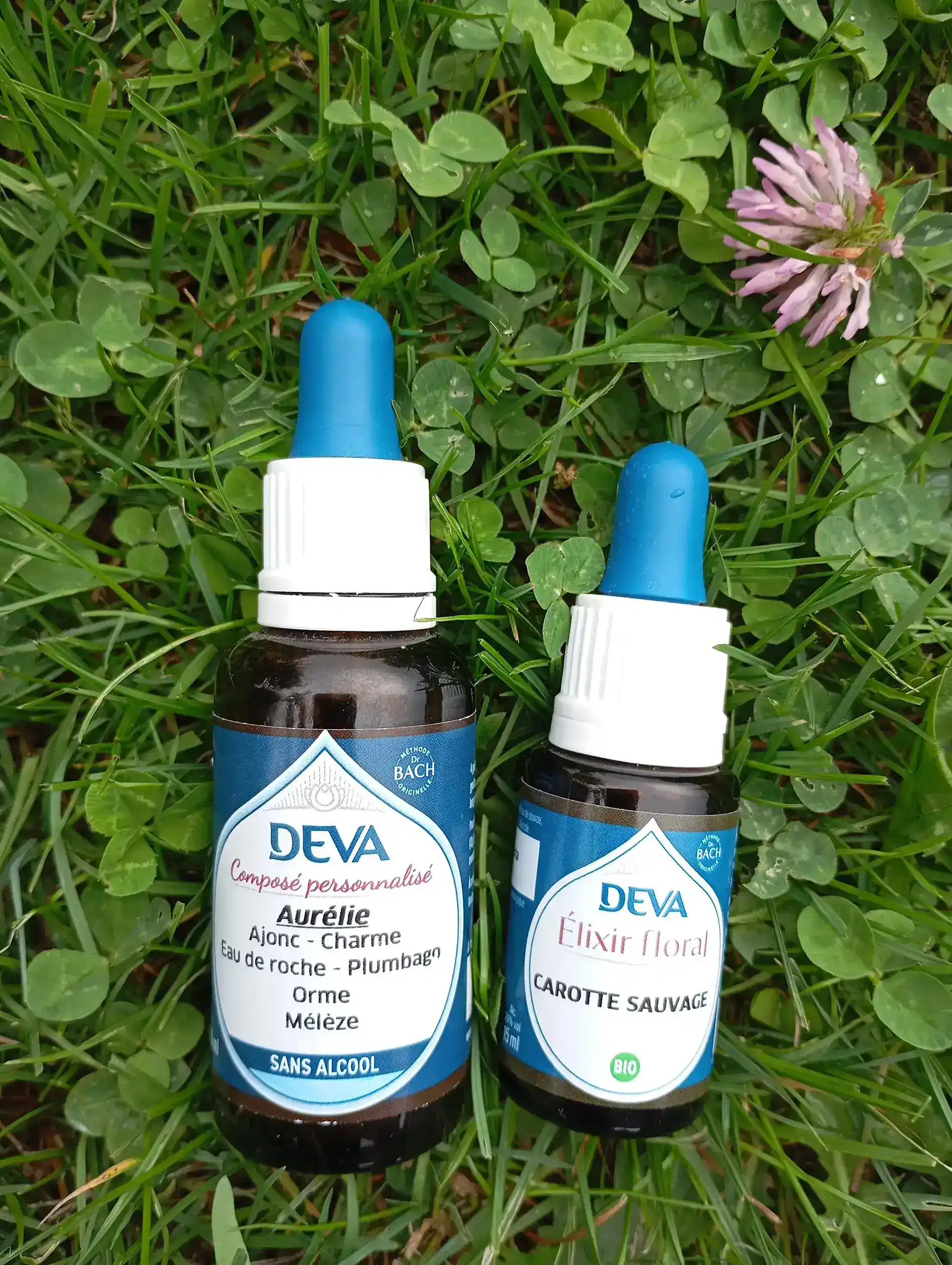 fleurs-de-bach-aurelie-maljournal