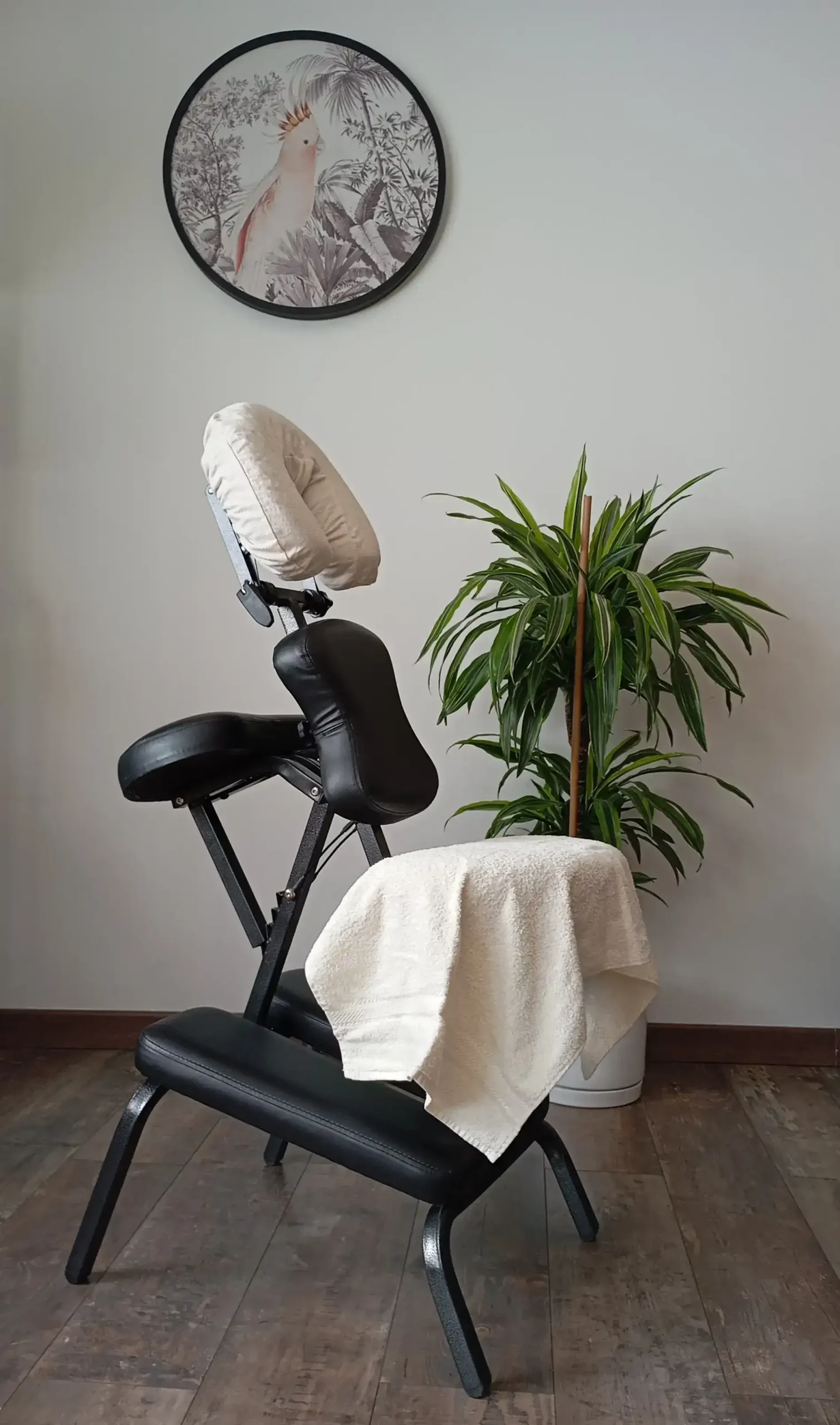 massage-assis-aurelie-maljournal